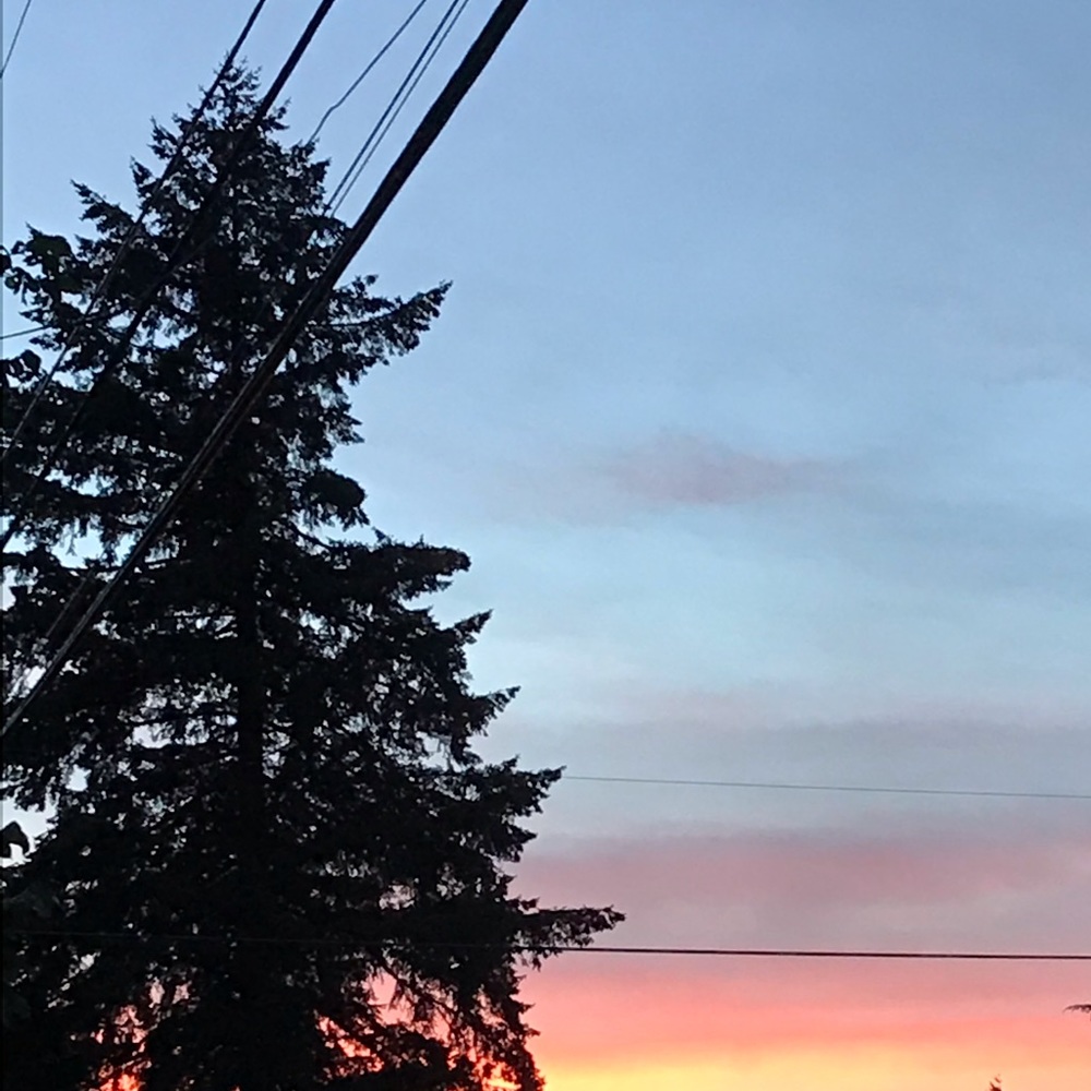 Meet your Posher, Kathryn